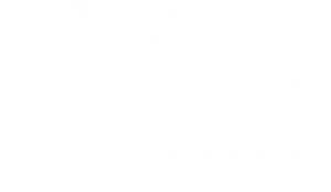 LYD Organic Logo White